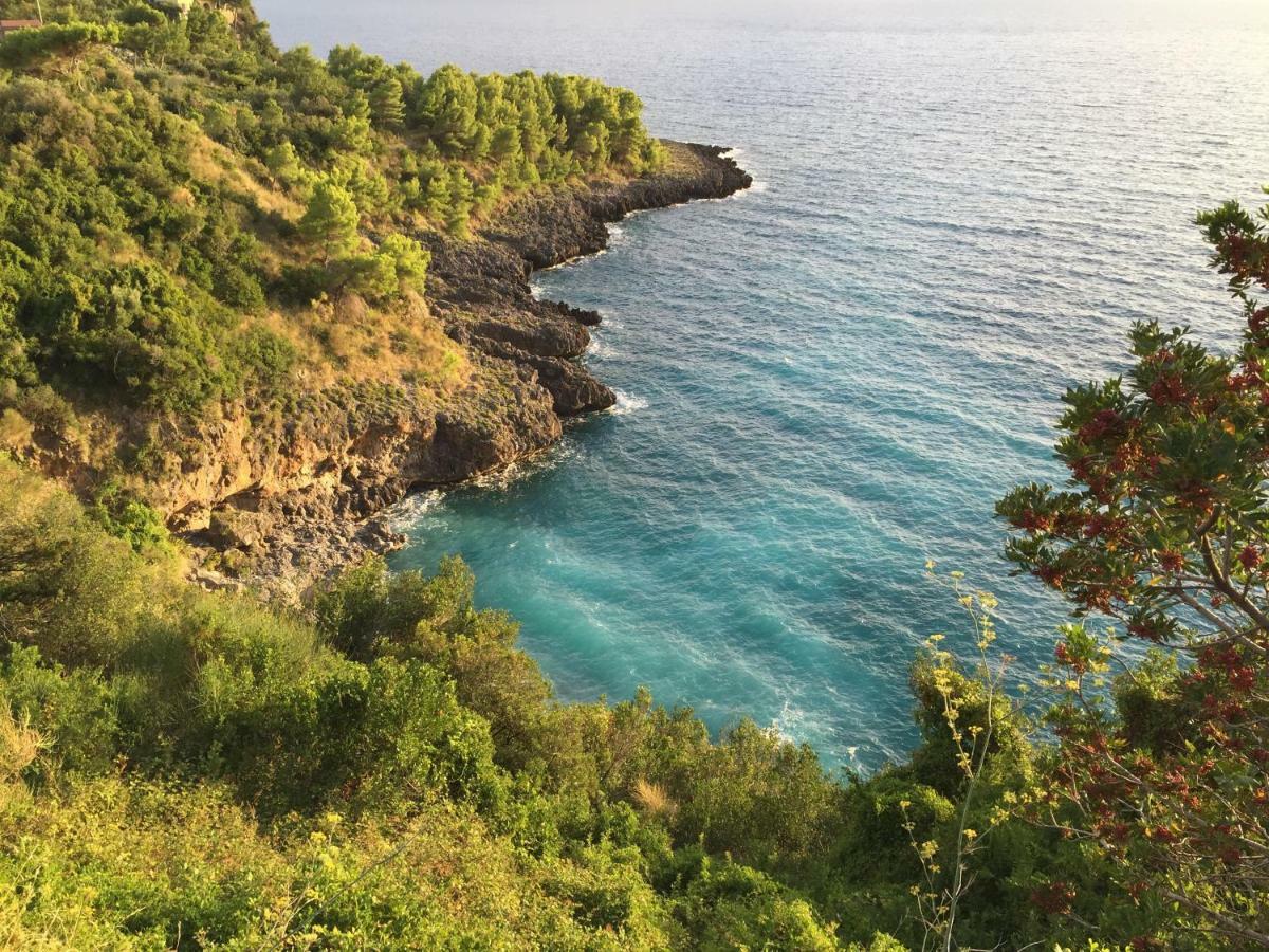 Fili D'Erba Cilento Villa วิลลัมมาเร ภายนอก รูปภาพ